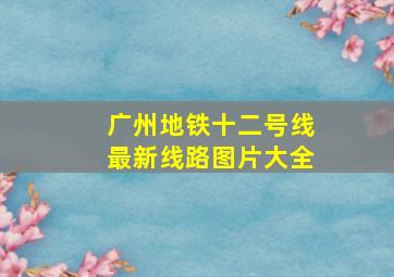 广州地铁十二号线最新线路图片大全