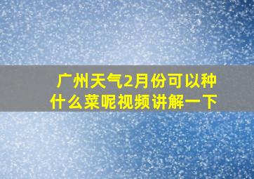 广州天气2月份可以种什么菜呢视频讲解一下