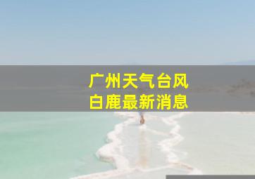 广州天气台风白鹿最新消息