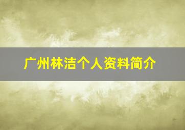 广州林洁个人资料简介