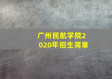 广州民航学院2020年招生简章