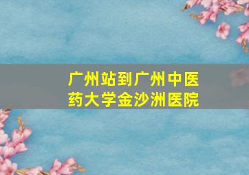 广州站到广州中医药大学金沙洲医院