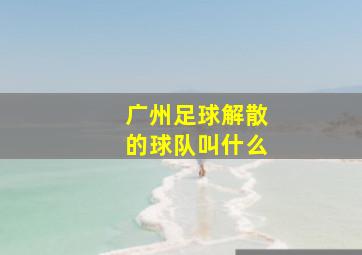 广州足球解散的球队叫什么