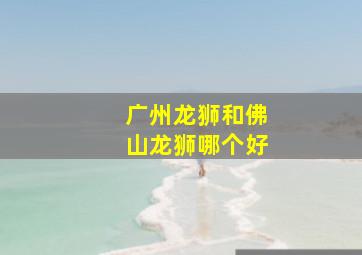 广州龙狮和佛山龙狮哪个好