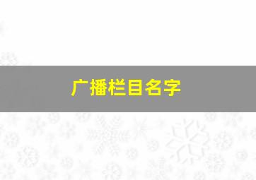 广播栏目名字