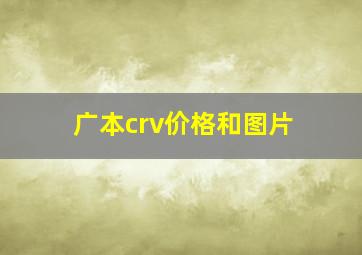 广本crv价格和图片