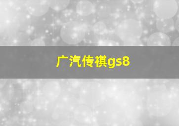 广汽传祺gs8