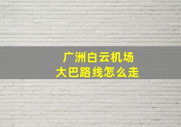 广洲白云机场大巴路线怎么走