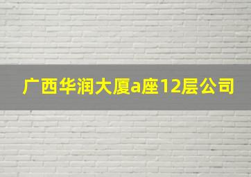 广西华润大厦a座12层公司