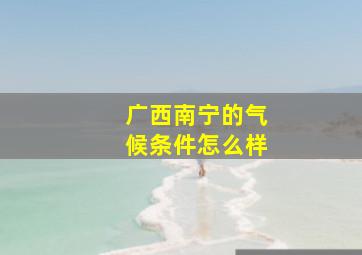 广西南宁的气候条件怎么样