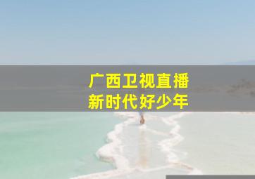 广西卫视直播新时代好少年