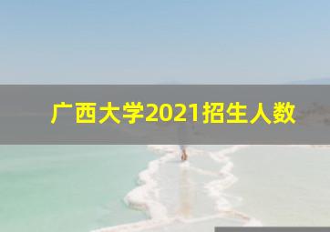 广西大学2021招生人数