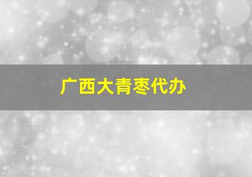 广西大青枣代办