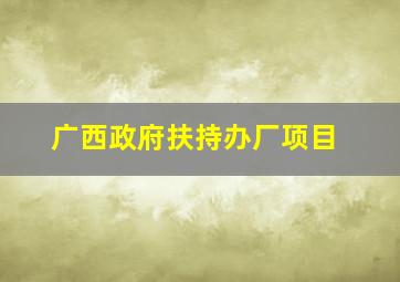 广西政府扶持办厂项目