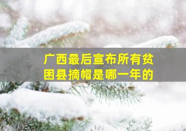 广西最后宣布所有贫困县摘帽是哪一年的