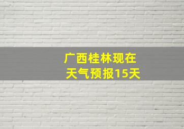 广西桂林现在天气预报15天