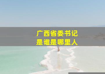 广西省委书记是谁是哪里人