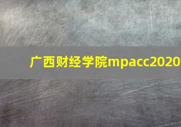 广西财经学院mpacc2020