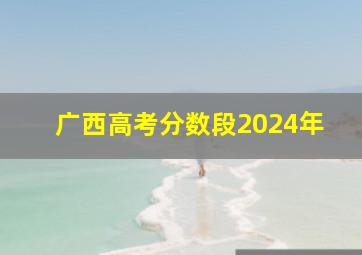 广西高考分数段2024年