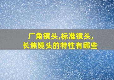 广角镜头,标准镜头,长焦镜头的特性有哪些