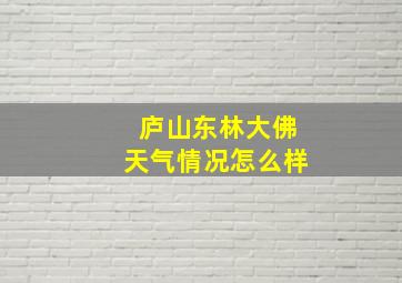 庐山东林大佛天气情况怎么样