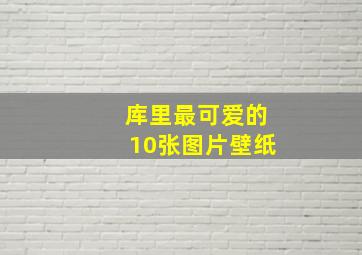 库里最可爱的10张图片壁纸