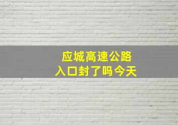 应城高速公路入口封了吗今天