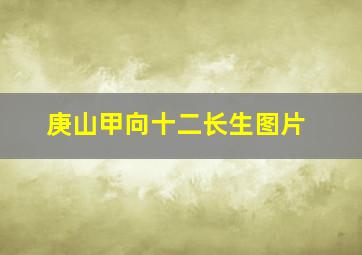 庚山甲向十二长生图片