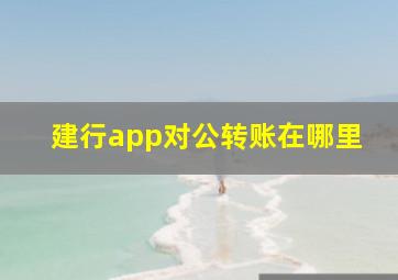 建行app对公转账在哪里