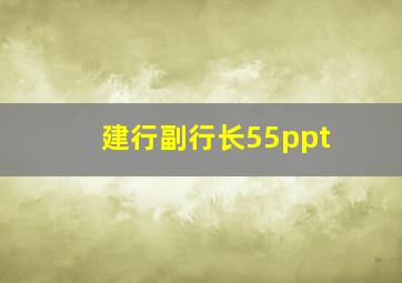 建行副行长55ppt