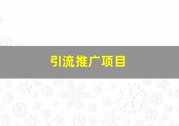 引流推广项目