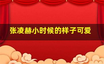 张凌赫小时候的样子可爱