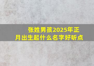 张姓男孩2025年正月出生起什么名字好听点