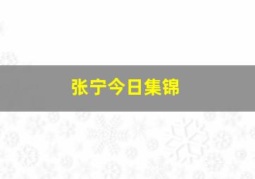 张宁今日集锦