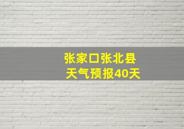 张家口张北县天气预报40天