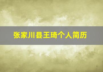 张家川县王琦个人简历