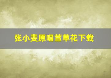 张小斐原唱萱草花下载