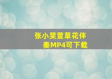 张小斐萱草花伴奏MP4可下载