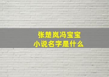 张楚岚冯宝宝小说名字是什么