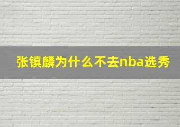 张镇麟为什么不去nba选秀