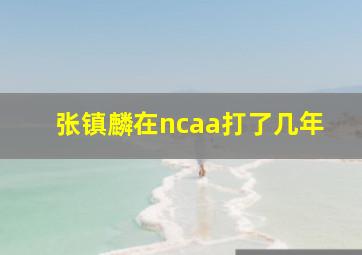 张镇麟在ncaa打了几年