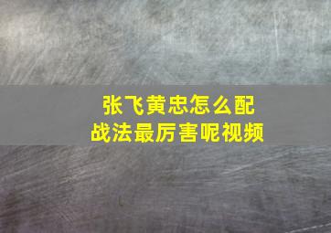 张飞黄忠怎么配战法最厉害呢视频