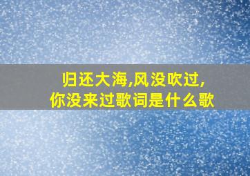 归还大海,风没吹过,你没来过歌词是什么歌