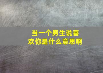 当一个男生说喜欢你是什么意思啊