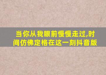 当你从我眼前慢慢走过,时间仿佛定格在这一刻抖音版