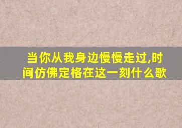 当你从我身边慢慢走过,时间仿佛定格在这一刻什么歌