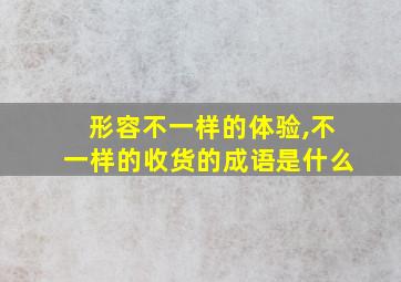 形容不一样的体验,不一样的收货的成语是什么