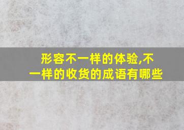 形容不一样的体验,不一样的收货的成语有哪些