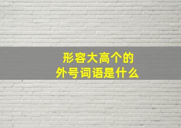 形容大高个的外号词语是什么