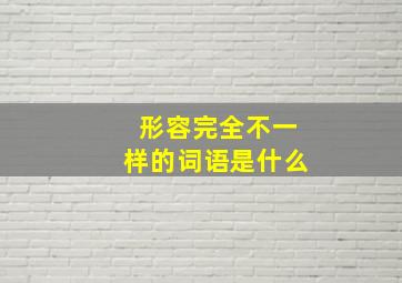 形容完全不一样的词语是什么